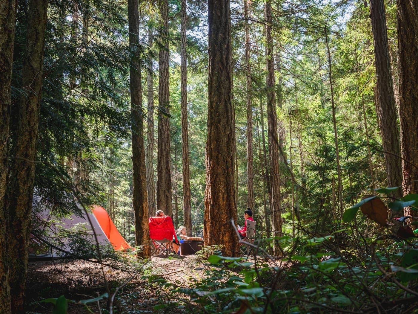 Camping a la orilla del agua rodeado de vegetación