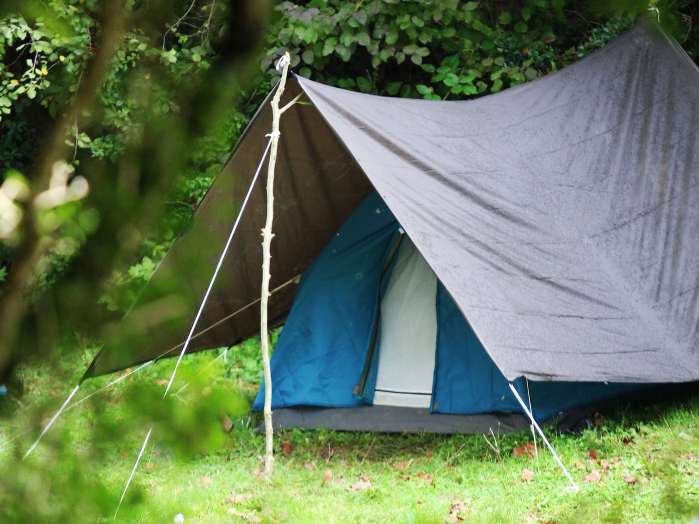 Zona de camping entre árboles altos