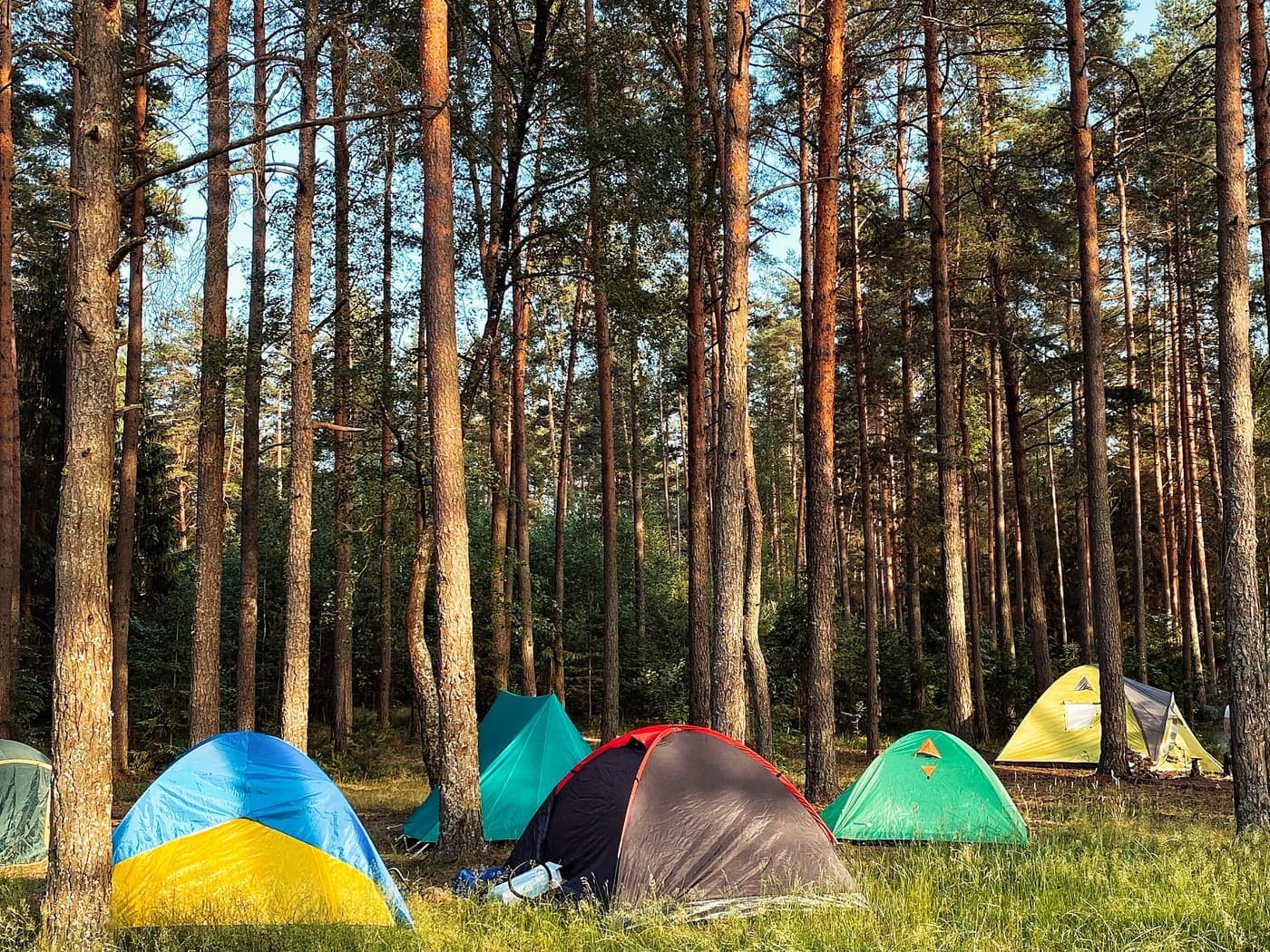 Carpas instaladas en un prado con montañas al fondo