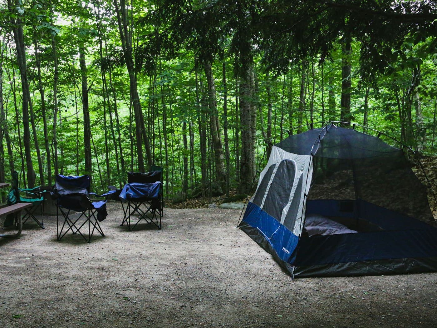 Sitio de camping con fogata y bosque alrededor