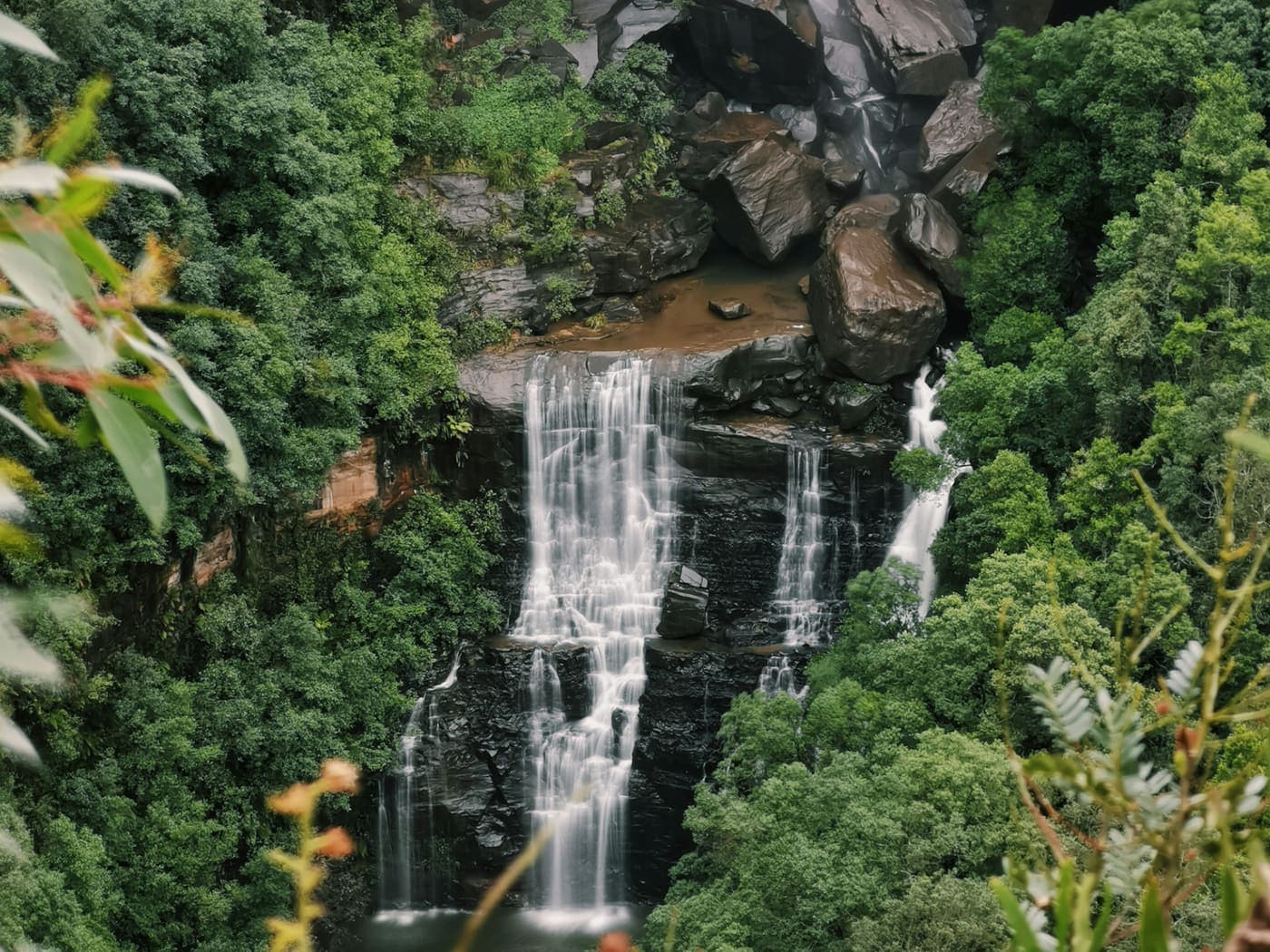 Cascada en medio de un bosque de árboles nativos