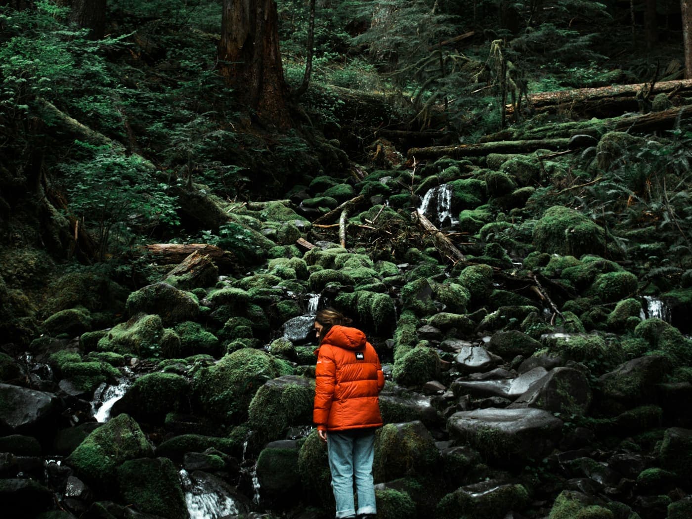Persona con chaqueta naranja caminando por un sendero del bosque