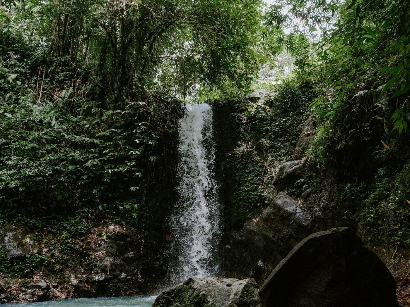Cascada cayendo entre rocas y vegetación nativa